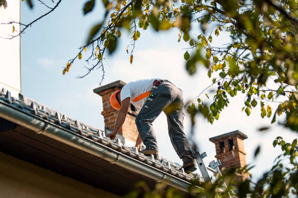 Quick and Trustworthy Emergency Roof Repair Services in Olympia Heights, FL