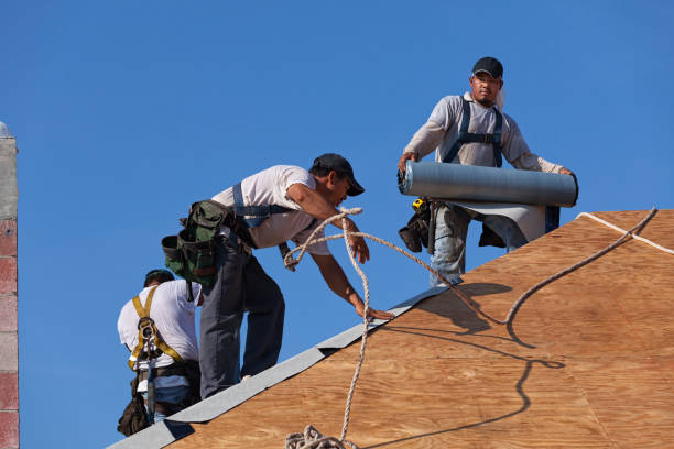 Roof Gutter Cleaning in Olympia Heights, FL
