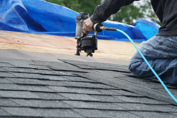 Best Shingle Roofing Installation  in Olympia Heights, FL
