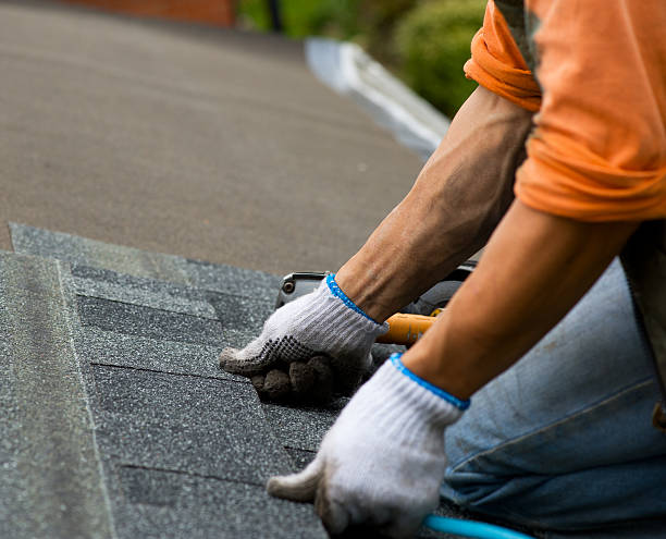 Quick and Trustworthy Emergency Roof Repair Services in Olympia Heights, FL
